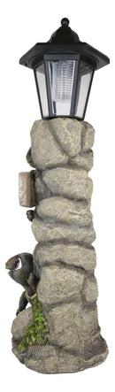 Ebros Rock Climbing Baby Tortoise Turtles With Greeting Sign & Solar LED Light Statue