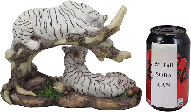 Ebros 9.25" Wide Albino Bengal White Tiger Couple Playing by Curved Tree Branch Statue As Predator Forest Tigers Giant Cats Jungle Frolic Decorative Figurine Perfect for Shelves Desktops Accent
