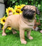 Ebros Large Realistic Fawn Pug Dog Statue 12"L Fine Pedigree Dog Breed Pugsy