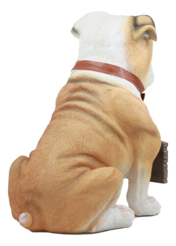 Realistic Large English Bulldog Welcome Statue 12"Tall Adorable Sitting Bulldog