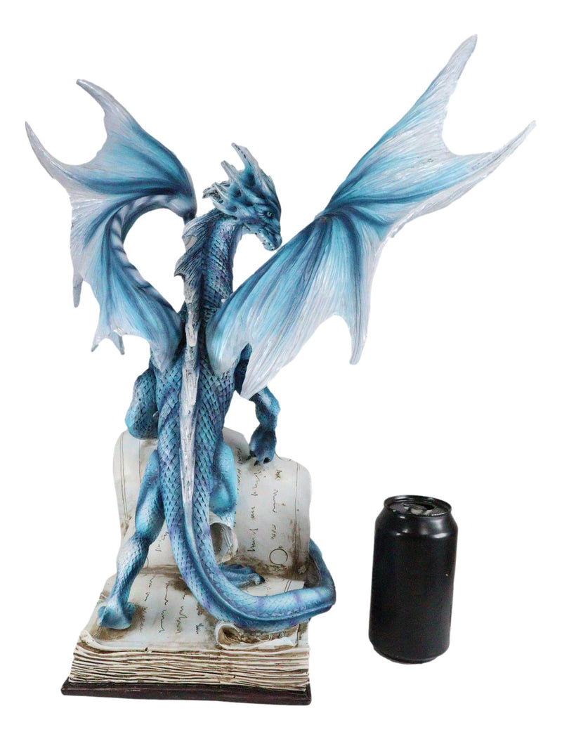 Large 18"H Dragon of Bibliography Sacred Water Spell Book Guardian Statue Decor
