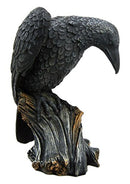Ebros Gift Dark Death Raven Crow Stalking Prey On Cliff Top Scavenger Bird Figurine 7.25"H
