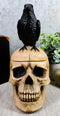 Ebros Black Raven Perched on Ancient Human Skull Trinket Box Container Figurine