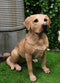 Ebros Large Realistic Lifelike Yellow Labrador Retriever Statue 21"H Golden Retriever