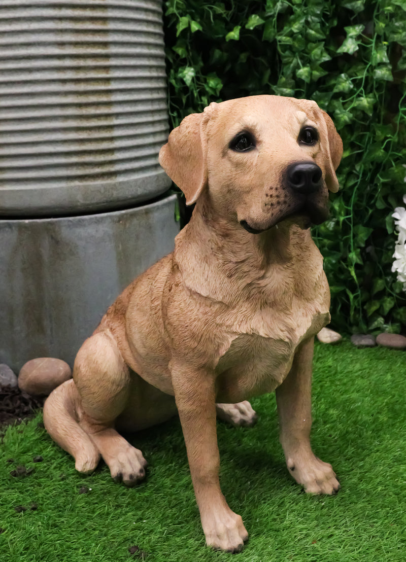 Ebros Large Realistic Lifelike Yellow Labrador Retriever Statue 21"H Golden Retriever