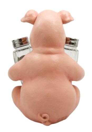 Ebros Farmland Bacon Pig Swine Belly Hugging Glass Salt Pepper Spice Holder