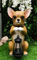 Ebros Gift Chihuahua Dog On Two Legs Statue with Solar LED Lantern Lamp 14" Tall