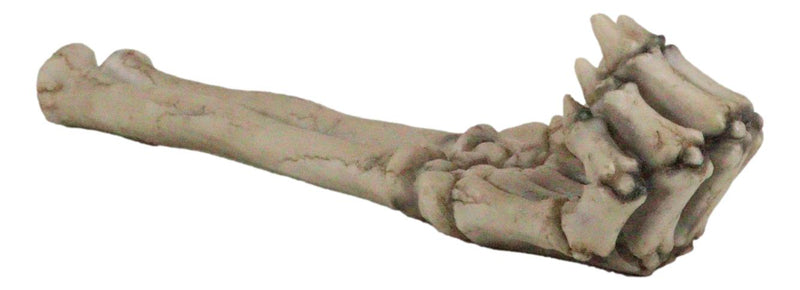 Skeleton Arm Hand Incense Burner Burnt Skeletal Bone Chilling Offering Decor Figurine