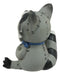 Ebros Furrybones Bandit The Raccoon Voodoo Stitched Skeleton Figurine 3"H