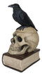 Gothic Crow Perching On Books And Skull With Plucked Eye Decorative Jewelry Box