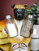 Ebros Fawn Boxer Puppy Dog Hugging Glass Salt Pepper Shakers Holder 6.25"High
