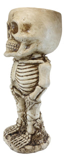 Large Grinning Baby Skeleton Skull Floral Nursery Plant Planter Bowl Pot Statue