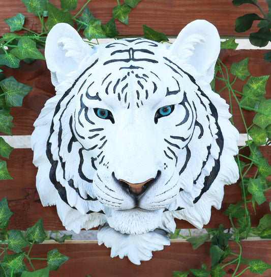 Rare Blue Eyed White Tiger Wall Bust Sculpture Blue Ice Predator Forest Figurine - Ebros Gift