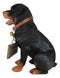 Guest Welcome Realistic Rottweiler Dog With Jingle Collar Sign Decor Statue 13"H