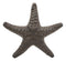 Ebros Cast Iron Sea Star Shell Starfish in Rustic Bronze Finish 7.75" Wide