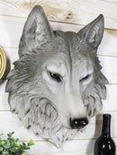 Large Gray Timber Wolf Head Wall Decor Plaque 16.5"Tall Taxidermy Art Decor