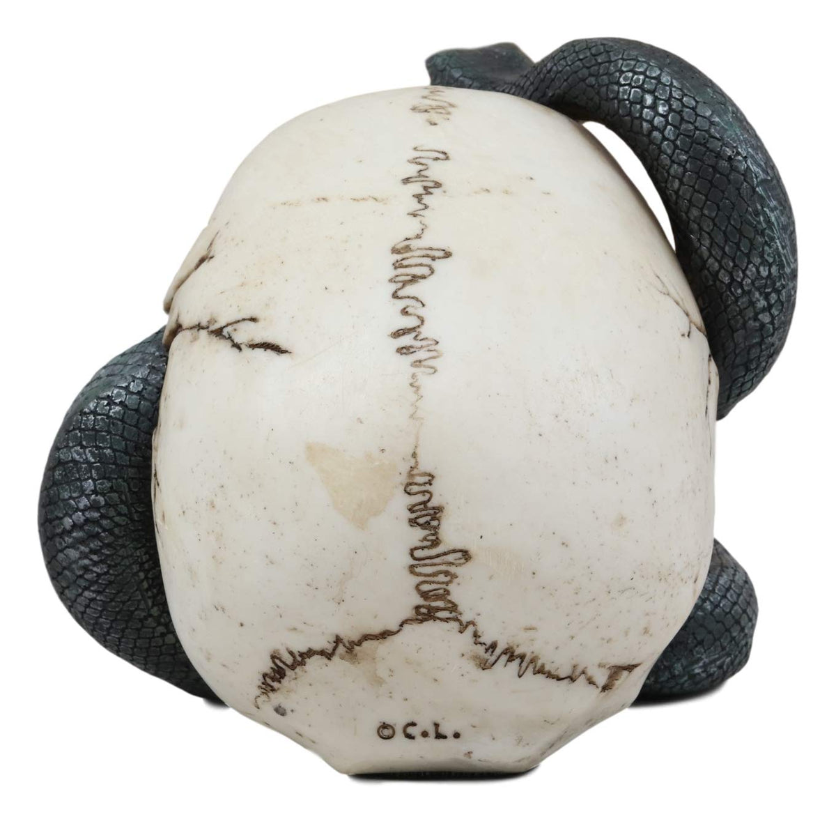 Ebros Gift Large Hissing Black Mamba Venom Snake Skull with Bloodshot Eyes Figurine 7" L Gothic Macabre Serpent Skeleton Cranium 3D Statue Halloween Spooky Decor Day of The Dead Graveyard Sculpture