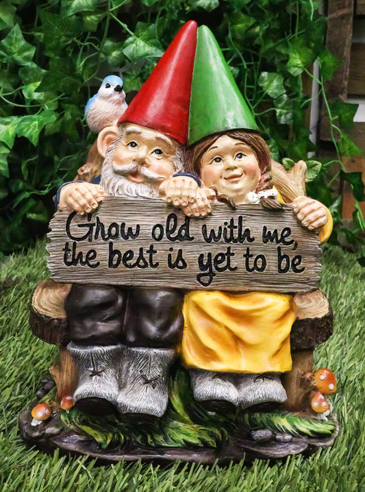 Ebros Gift Whimsical Mr & Mrs Gnome Sitting On Rustic Chair with Blue Bird Statue Grow Old with Me Guest Greeter Patio - Ebros Gift