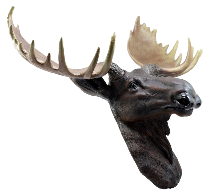 Ebros North American Bull Moose Wall Decor 24"Wide Wall Mount Plaque Sculpture