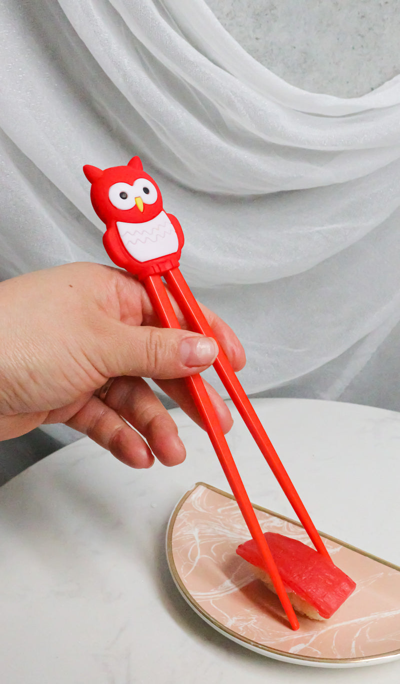 Red Whimsical Owl Reusable Training Chopsticks Set With Silicone Helper BPA Free