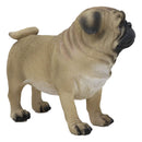 Ebros Realistic Lifelike Adorable Fawn Pug Dog Statue 7.75" L Figurine with Glass Eyes