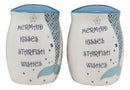Ebros Marine Mermaid Kisses Starfish Wishes Ceramic Salt And Pepper Shakers Set