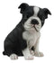 Realistic Miniature Boston Terrier Puppy Statue 6.25"Tall Animal Dog Collectible