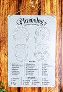 Gothic Wicca Phrenology Alternative Science Of Human Mind Metal Wall Sign Decor