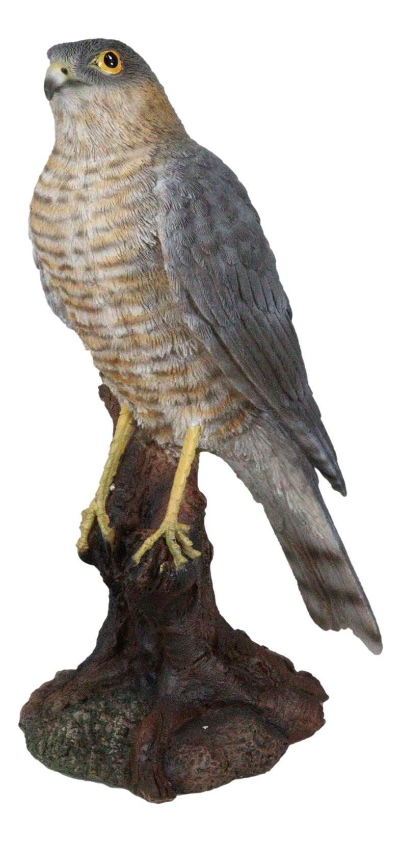 Realistic Hand Painted Eurasian Sparrowhawk Perching On Tree Stump Figurine