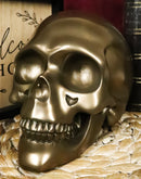 Pirate Tomb Treasure Bronze Cranium Skull Figurine Electroplated Resin Sculpture