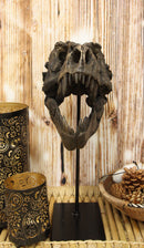 Jurassic Tyrannosaurus Rex T-Rex Faux Fossil Skull With Pole Display Mount 11.5"