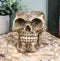 Day Of The Dead Celtic Tribal Tattoo Skull Pen Stationery Holder Figurine 4.5"L
