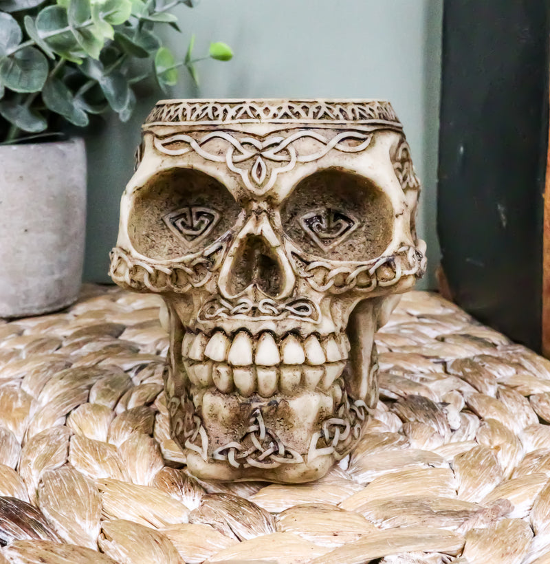 Day Of The Dead Celtic Tribal Tattoo Skull Pen Stationery Holder Figurine 4.5"L