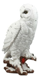 Mystical White Snow Owl Bird Statue 12.25"Tall Nocturnal Bird Wildlife Owl Decor
