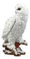 Mystical White Snow Owl Bird Statue 12.25"Tall Nocturnal Bird Wildlife Owl Decor