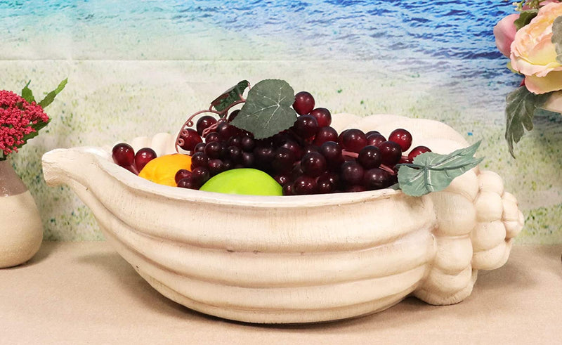Ebros 16" Long Nautical Ocean Giant Sea Tun Shell Display Container Dish Bowl - Ebros Gift