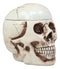 Ebros Large Ceramic Homosapien Jointed Human Skull Cookie Jar Figurine 9.25" L