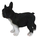 Realistic Lifelike Black French Bulldog Frenchie Puppy Dog Figurine Pet Pal