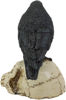 Ebros Gothic Raven Perching On Skull Statue 7.25" High Crow Scavenger Figurine