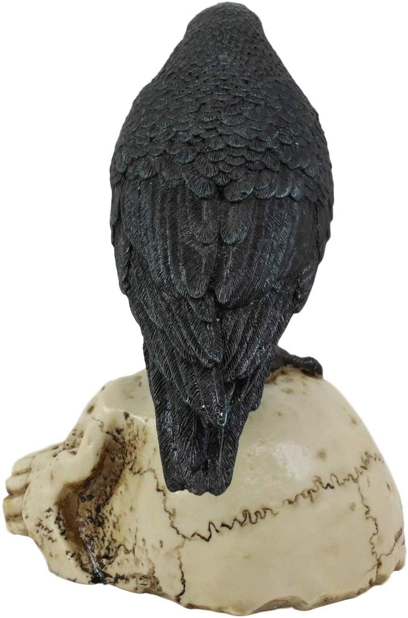 Ebros Gothic Raven Perching On Skull Statue 7.25" High Crow Scavenger Figurine