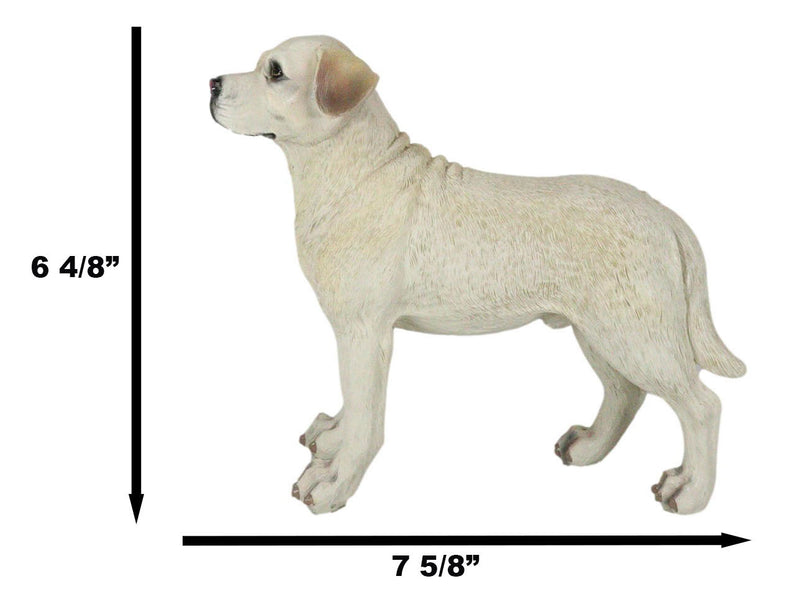 Adorable Labrador Golden Retriever Dog Standing On All Fours Pet Pal Figurine