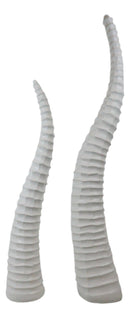 Set of 2 Rustic White African Gazelle Antelope Horns Decorative Vegan Sculptures