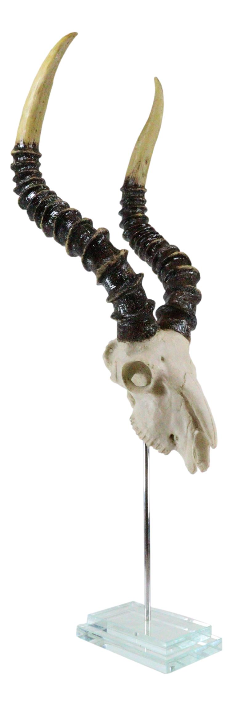 Vintage Faux Taxidermy Kudu Antelope Skull On Museum Pole Mount With Glass Base