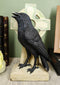 Harbinger Of Doom Macabre Raven Crow Perching On Celtic High Cross Figurine