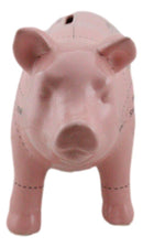 Small Ceramic Country Farmhouse Pig Swine Pork Butcher Chart Piggy Coin Bank Jar