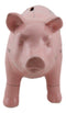 Small Ceramic Country Farmhouse Pig Swine Pork Butcher Chart Piggy Coin Bank Jar
