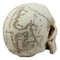 Ebros Pirate Captain Jack Sparrow Cartography Lost Treasure Map Skull Statue Relic