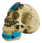 Matter Britain King Arthur Roundtable Knights Sir Geraint Red Devil Skull Statue