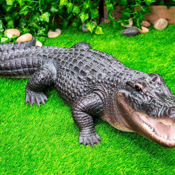 貴重！★迫力サイス！45ｃｍ ナイルワニ （Nile crocodile） 頭骨 貴重！☆迫力サイス！45cm ナイルワニ （Nile crocodile） 頭骨