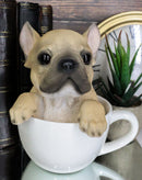 Ebros Realistic French Bulldog Teacup Statue Pet Pal Frenchie Dog Breed Figurine Decor